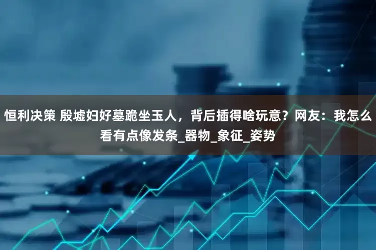 恒利决策 殷墟妇好墓跪坐玉人，背后插得啥玩意？网友：我怎么看有点像发条_器物_象征_姿势