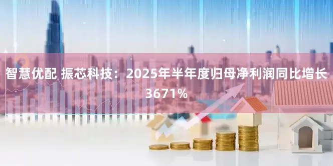 智慧优配 振芯科技：2025年半年度归母净利润同比增长3671%