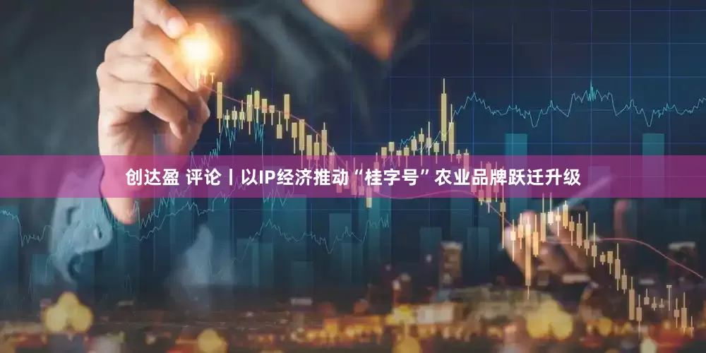 创达盈 评论丨以IP经济推动“桂字号”农业品牌跃迁升级